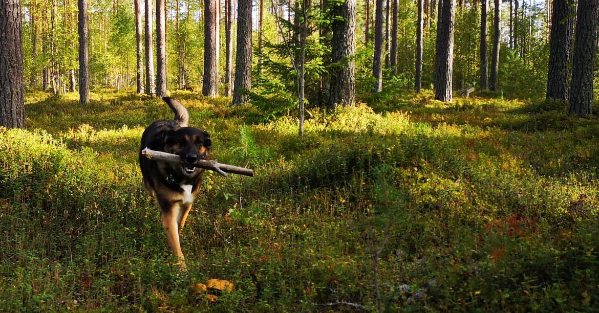 IMG-20250721-WA0001_crop